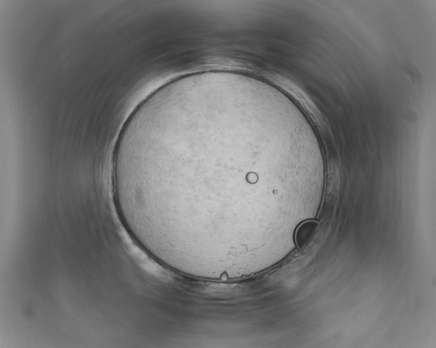 X0000111211439200907221142