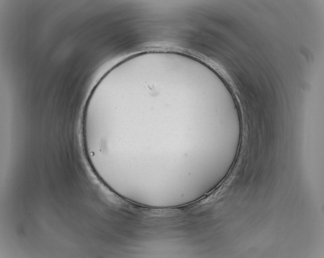 X0000111211440200907221142