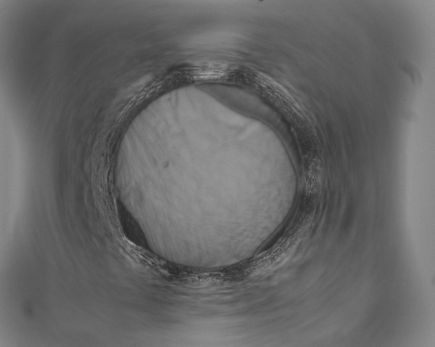 X0000111211441200907221141