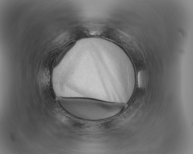 X0000111211443200907221141