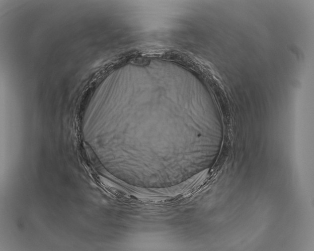 X0000111211445200907221141