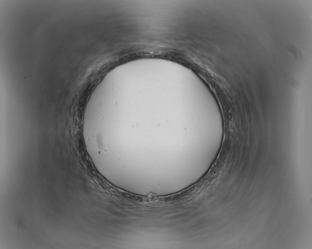 X0000111211447200907221141