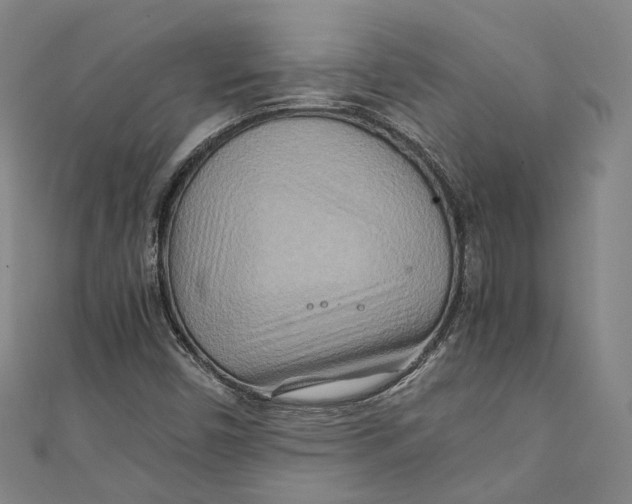 X0000111211450200907221141