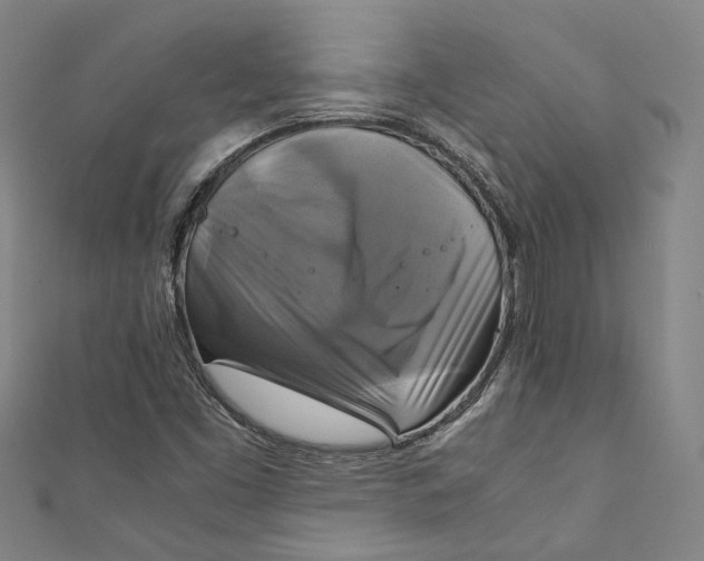 X0000111211453200907221141