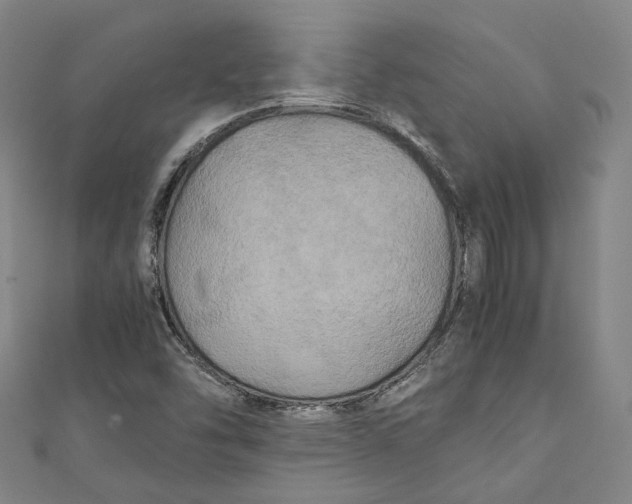 X0000111211454200907221141