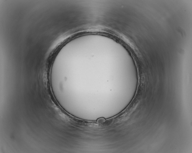 X0000111211456200907221141