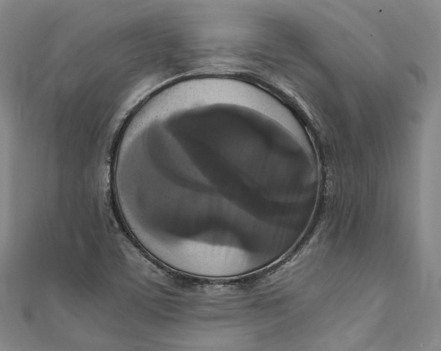 X0000111211459200907221141