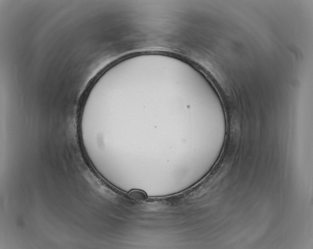 X0000111211460200907221141