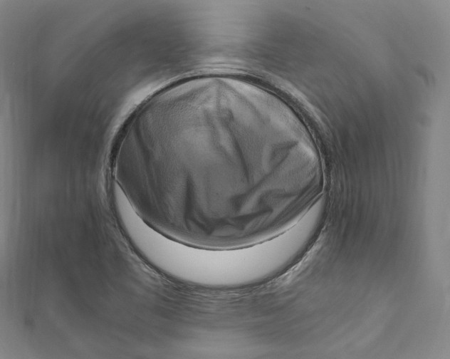 X0000111211461200907221141