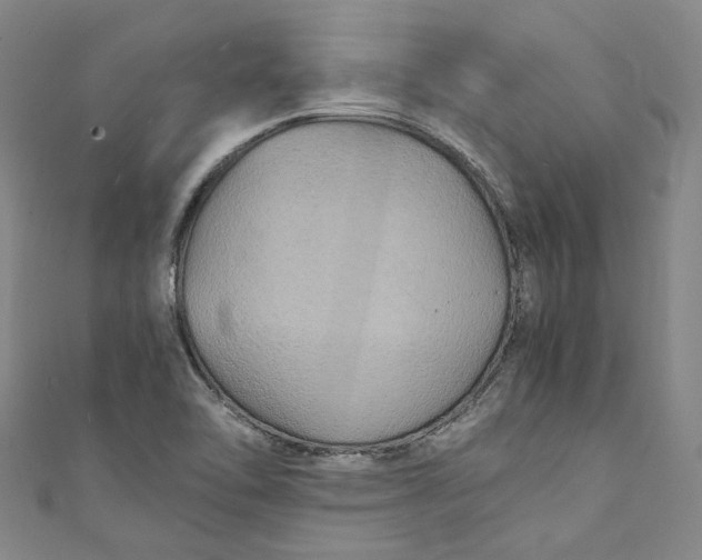 X0000111211462200907221141