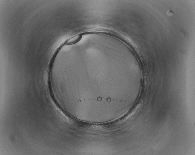 X0000111211463200907221141