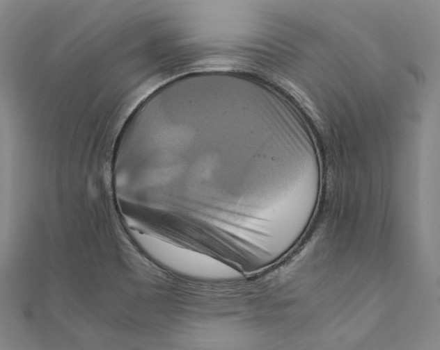 X0000111211465200907221140