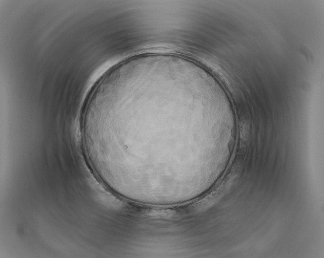 X0000111211466200907221140