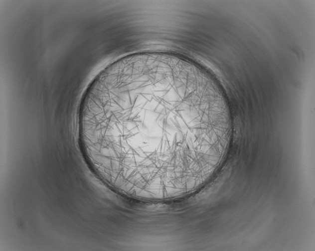 X0000111211467200907221140