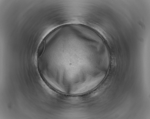 X0000111211468200907221140