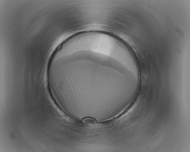 X0000111211469200907221140