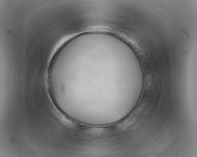 X0000111211470200907221140