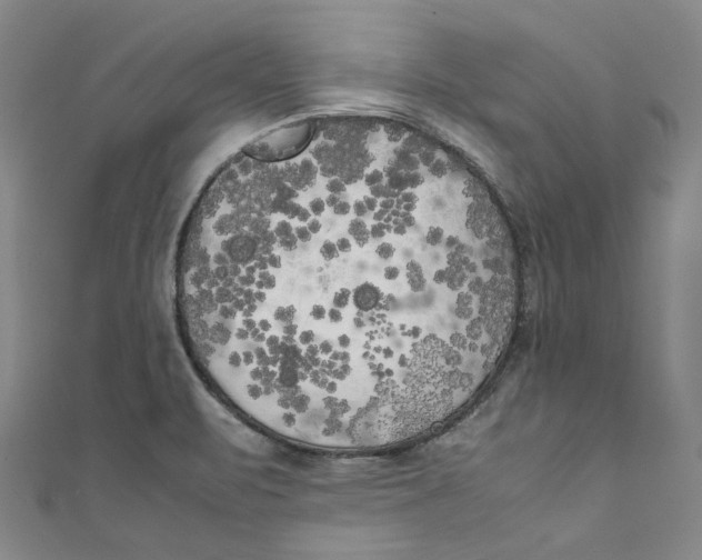 X0000111211471200907221140