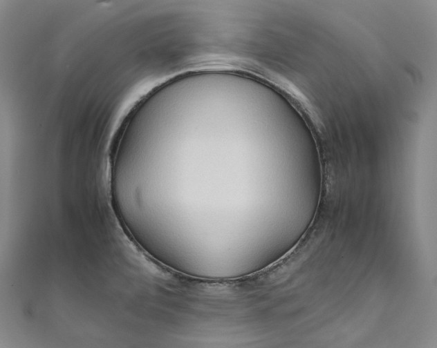 X0000111211472200907221140