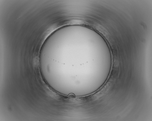 X0000111211473200907221140