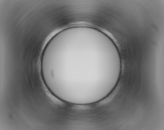 X0000111211474200907221140