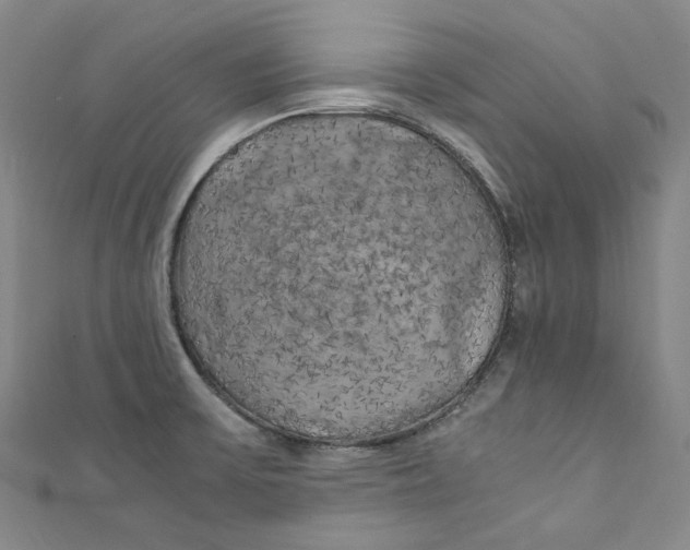 X0000111211475200907221140