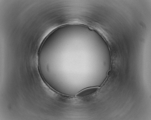 X0000111211476200907221140