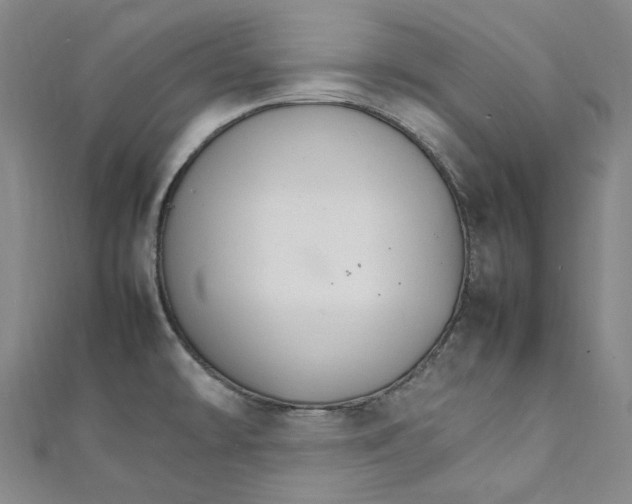 X0000111211478200907221140