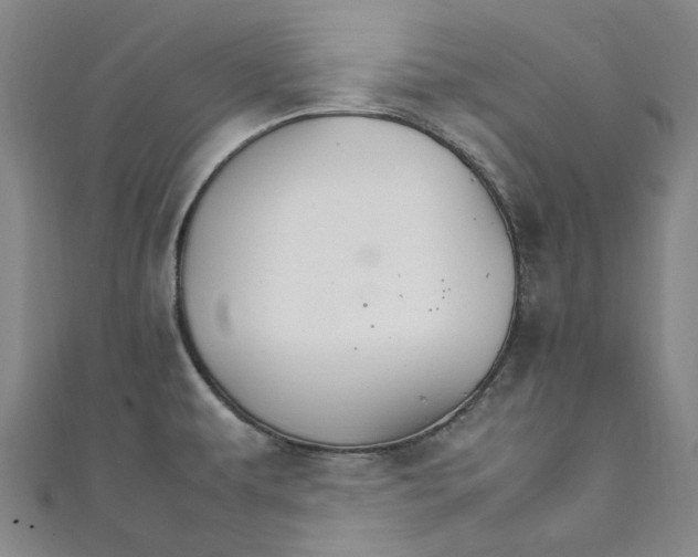 X0000111211479200907221140