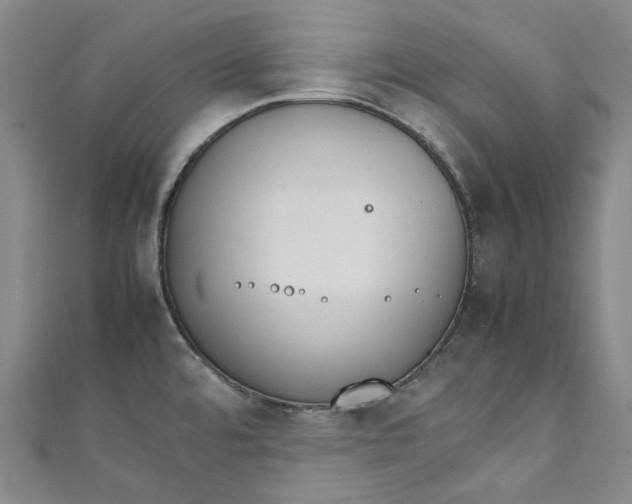 X0000111211480200907221140