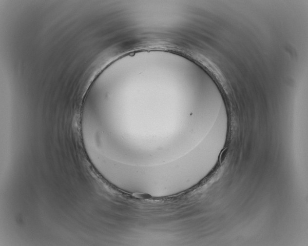 X0000111211481200907221140