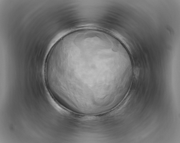 X0000111211482200907221140