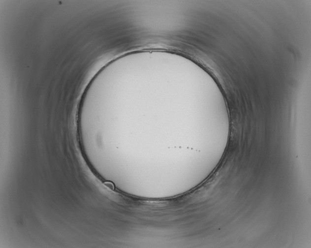 X0000111211483200907221140