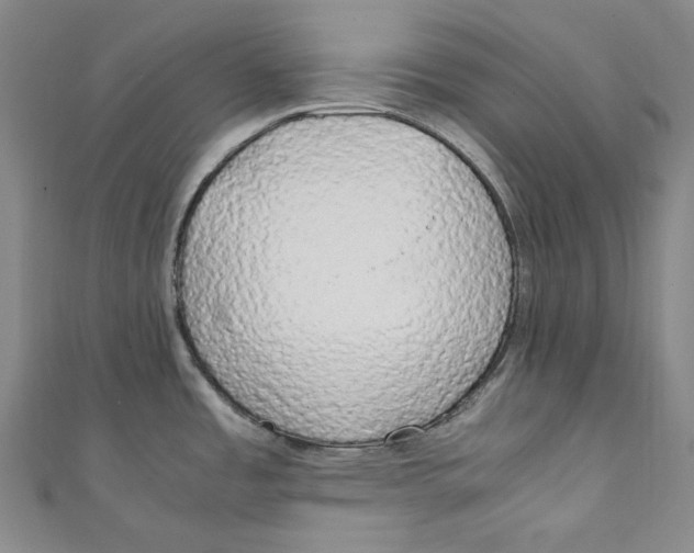 X0000111211485200907221140