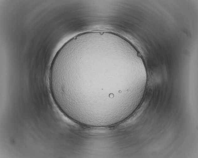 X0000111211486200907221140