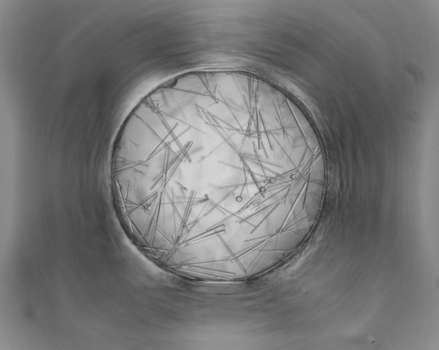 X0000111211487200907221140