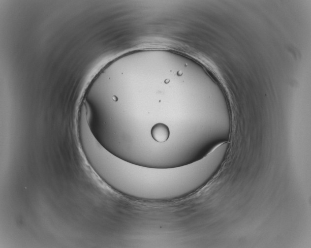 X0000111211488200907221140