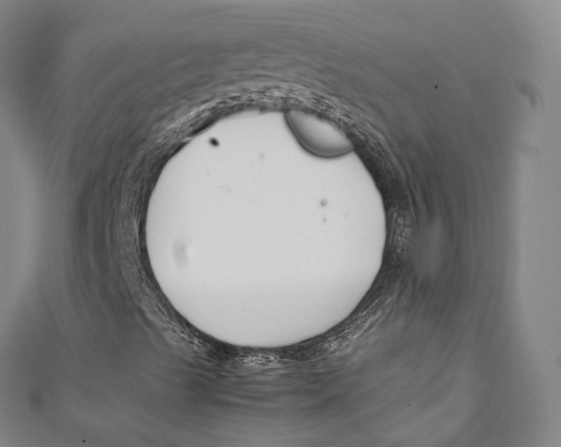 X0000111211489200907221140