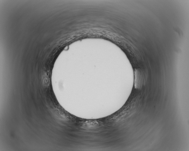 X0000111211491200907221140