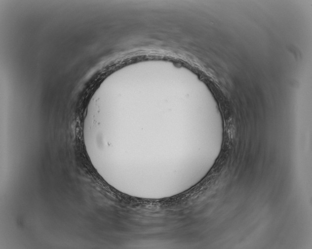 X0000111211495200907221140