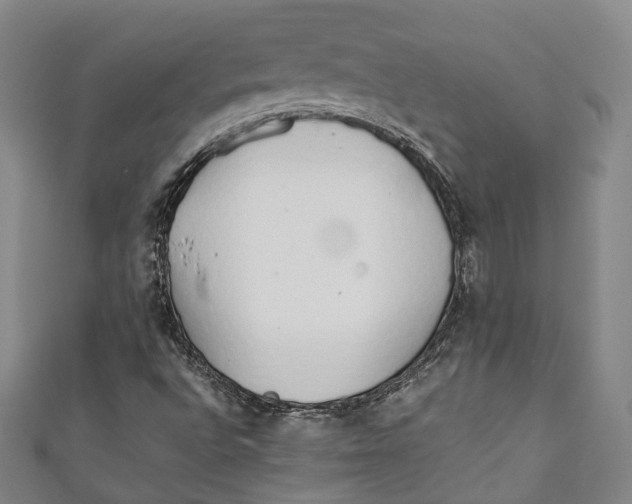 X0000111211496200907221140