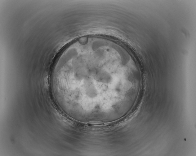 X0000111211497200907221140