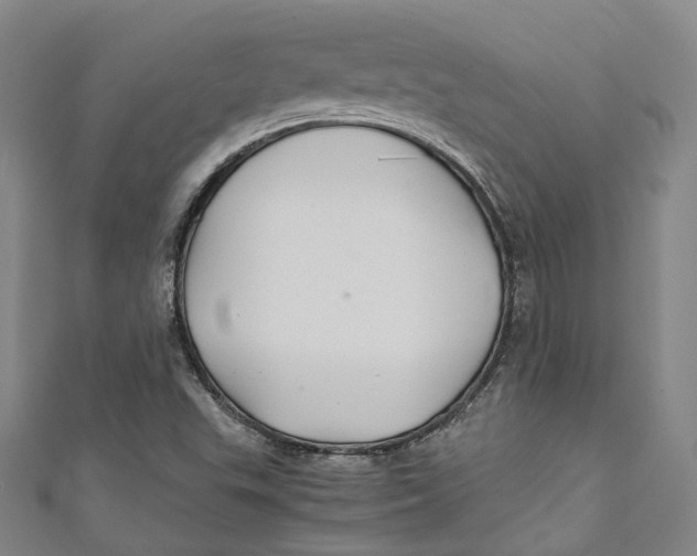 X0000111211503200907221140