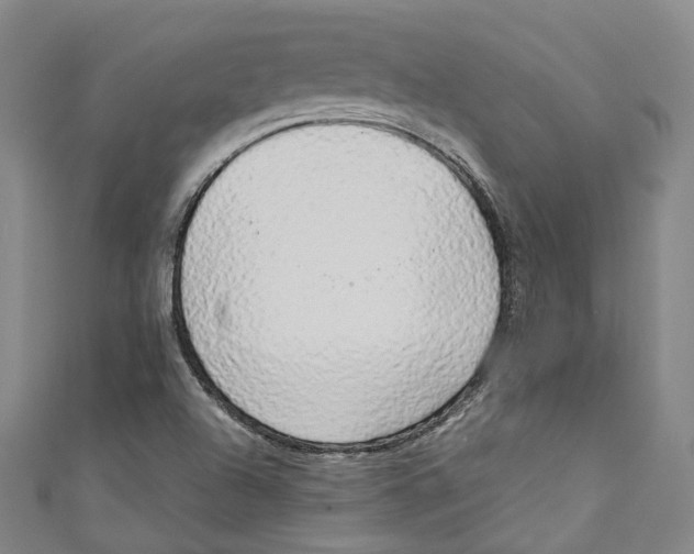 X0000111211504200907221140