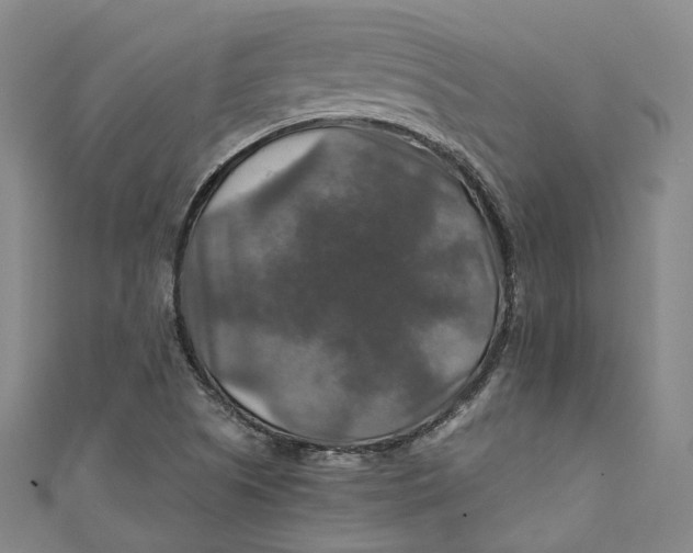 X0000111211505200907221140