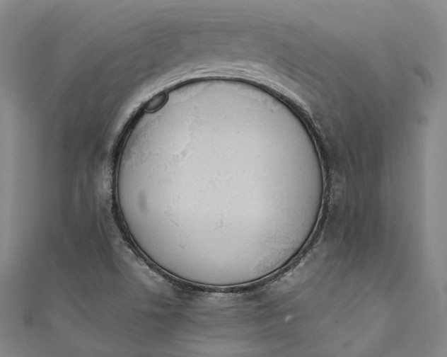 X0000111211506200907221140