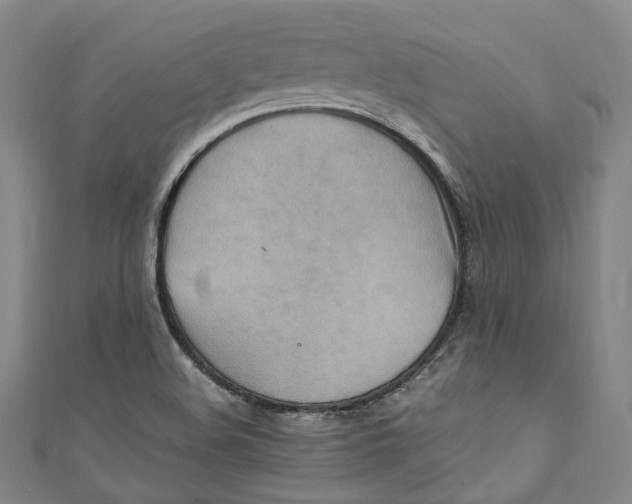 X0000111211508200907221140