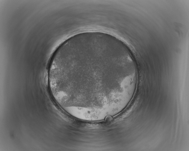 X0000111211509200907221140