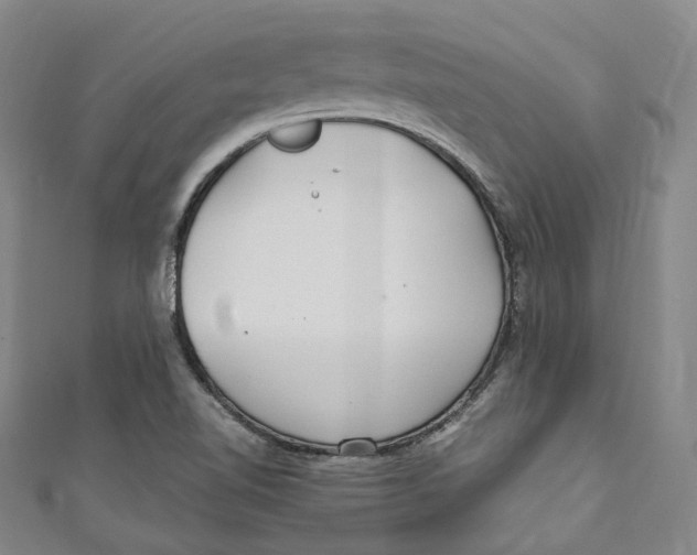 X0000111211510200907221140