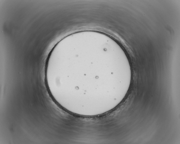 X0000111211512200907221140